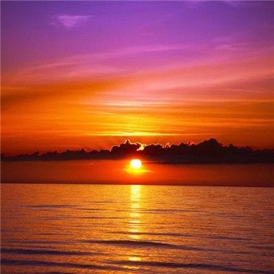 Tahir Angkasa avatar